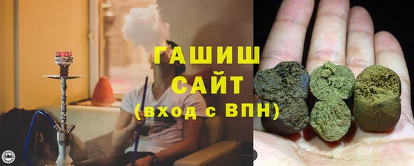 PSILOCYBIN Белокуриха