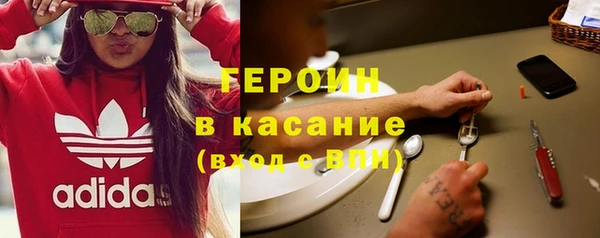 PSILOCYBIN Белокуриха