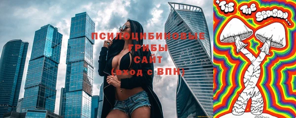 гидра Семилуки
