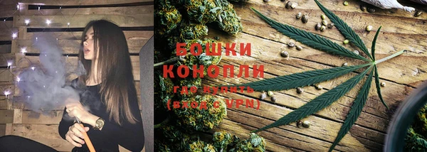 PSILOCYBIN Белокуриха