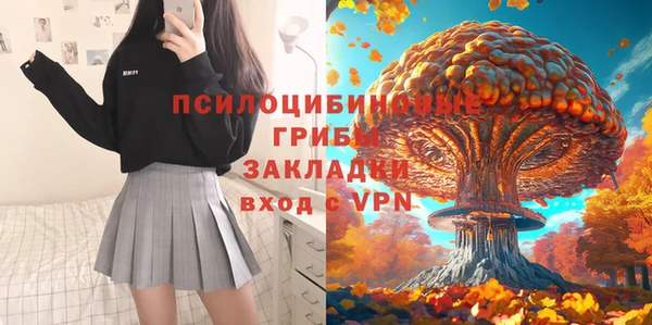 гидра Семилуки