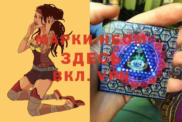 PSILOCYBIN Белокуриха