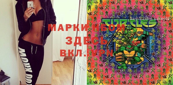 PSILOCYBIN Белокуриха