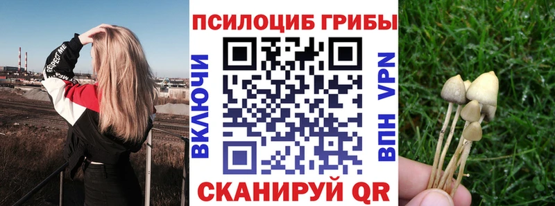 Галлюциногенные грибы прущие грибы  где найти   Чёрмоз 